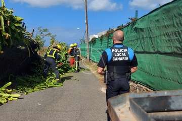 El viento racheado derriba en Telde un vallado en Cruz de Jerez y farolas en los paseos de Taliarte y Melenara/TA.