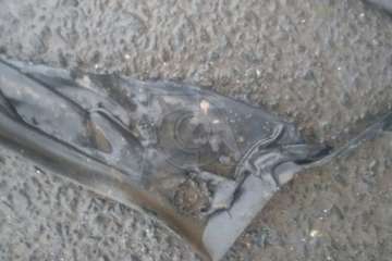 Un pavoroso incendio de contenedores alarma a los vecinos de Las Huesas/TA.