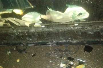 Un pavoroso incendio de contenedores alarma a los vecinos de Las Huesas/TA.