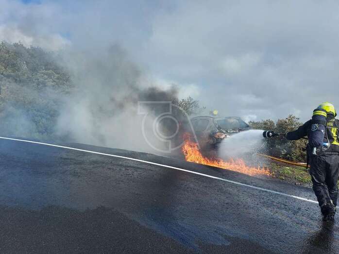 Los bomberos en acción apagando el fuego/TA.