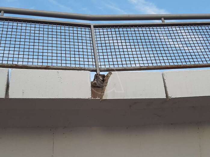 Estado del paseo elevado sobre el vial costero/TA.