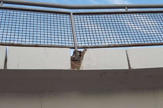  Los pasos elevados sobre el vial costero de Telde se desmoronan solos/TA.