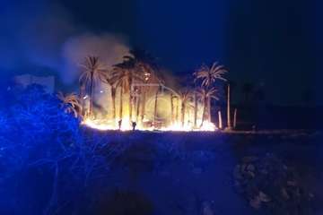 Incendio de palmeras y malezas en el Barranco de las Bachilleras/TA.