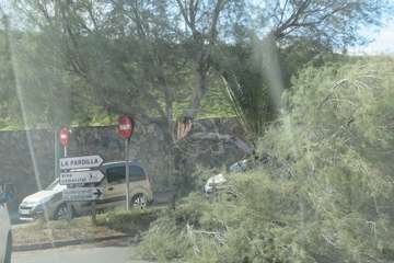 La caída de un árbol obstaculiza el acceso a La Pardilla y Makro desde la rotonda próxima a este centro comercial/TA.