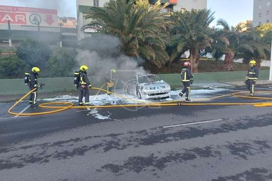 Un turismo queda totalmente calcinado en un incendio en el Vale de Jinámar (Telde)/TA.