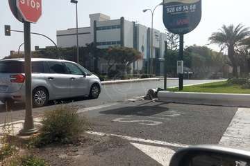 La Policía Local abre diligencias judiciales al conductor de vehículo que derribó un semáforo en Telde/TA.