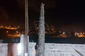 El barrio de Hornos del Rey, incomunicado por la caída de una palmera sobre su única vía de acceso/TA.