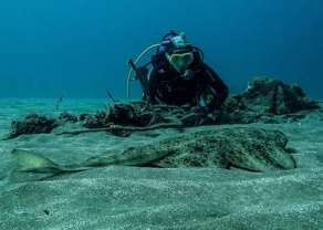 Un angelote y un buzo, en el fondo del mar (Foto TA)