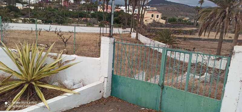 Finca municipal de la Hoya de San Pedro/TA.