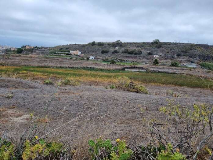 Charcas de San Lorenzo/TA.