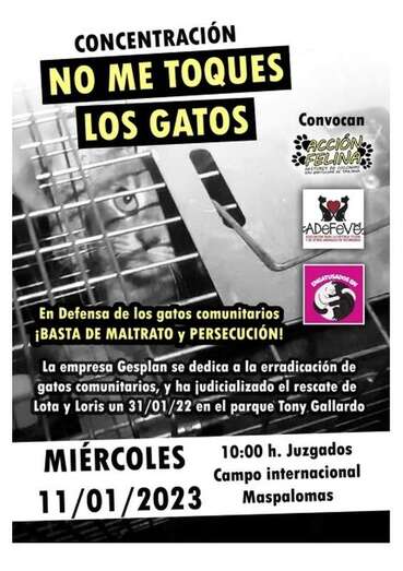 Cartel de la convocatoria/TA.