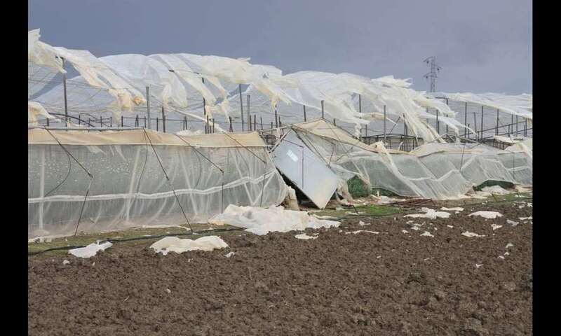 Invernaderos cubiertos de plástico/TA.
