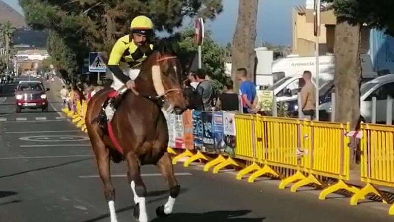 Carrera de caballos de Valsequillo/TA.