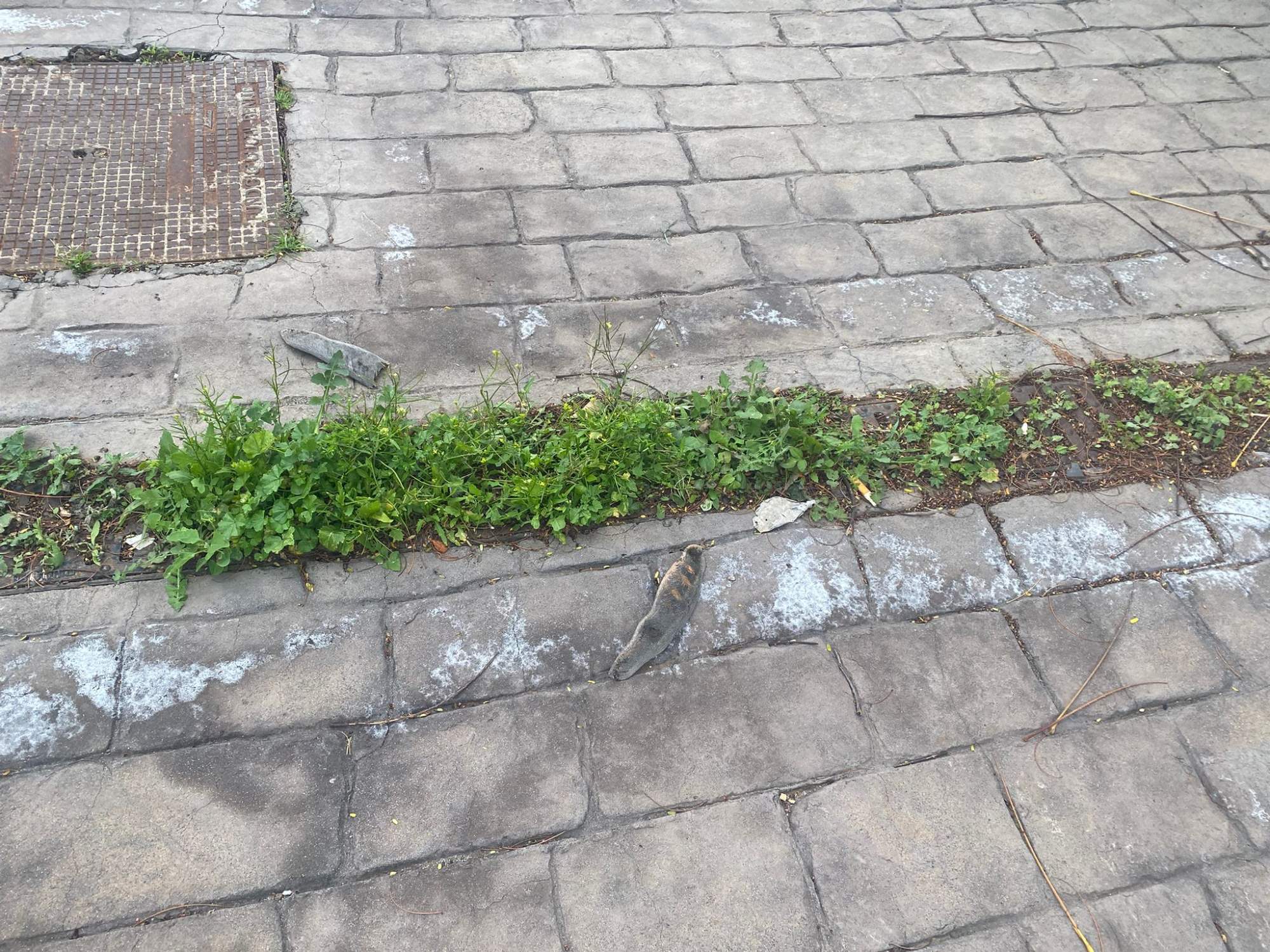 Desagües obstruidos en San Antonio