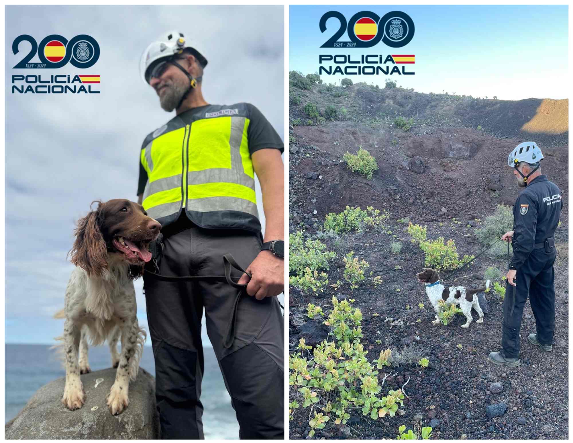 El perro polic&iacute;a Rony, clave en en hallazgo de Isidro H. sin vida cerca de la Sima de Jin&aacute;mar