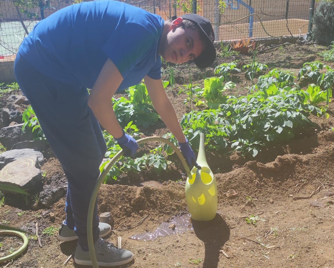 El IES Lomo de la Herradura impulsa su huerto medicinal