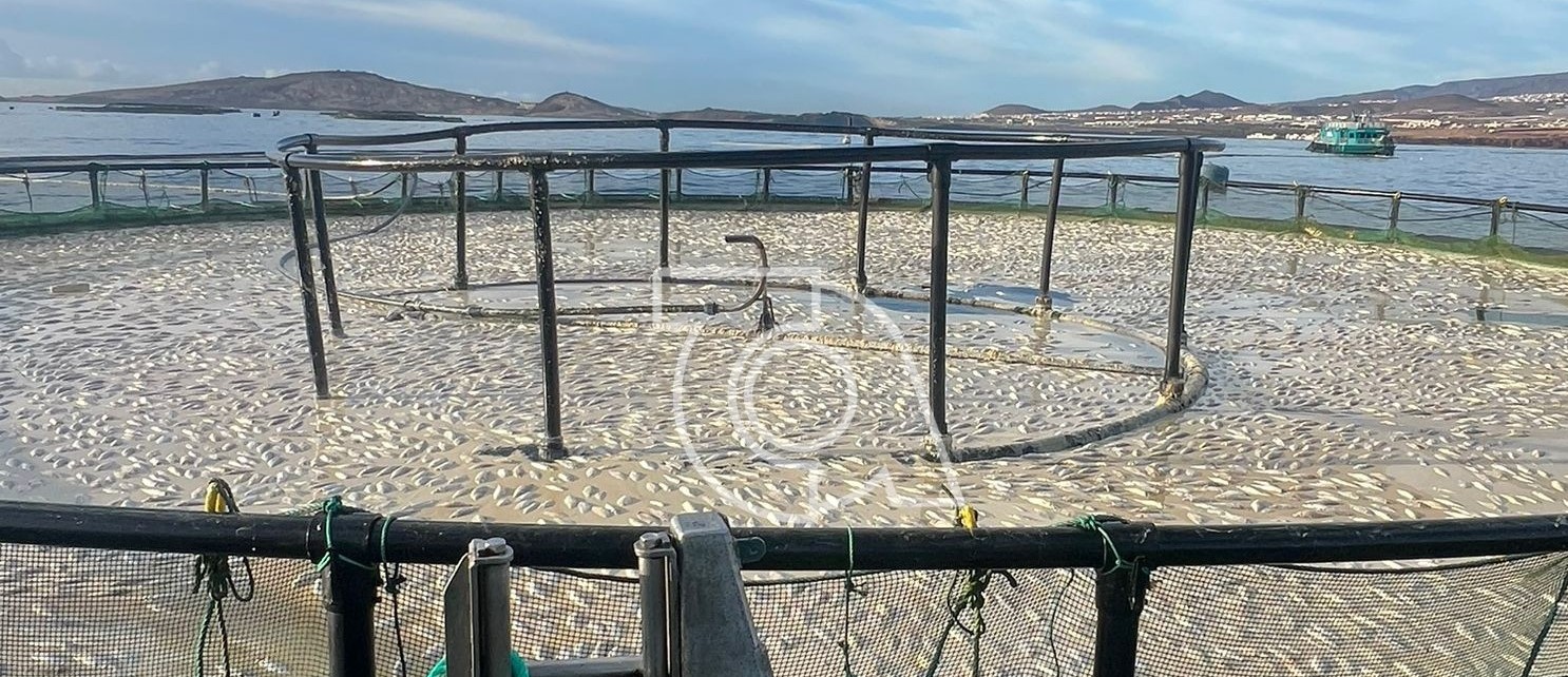 Aquanaria lanza un informe "interesado" sobre vertido fecal para "reventar" la nueva protesta contra las jaulas marinas