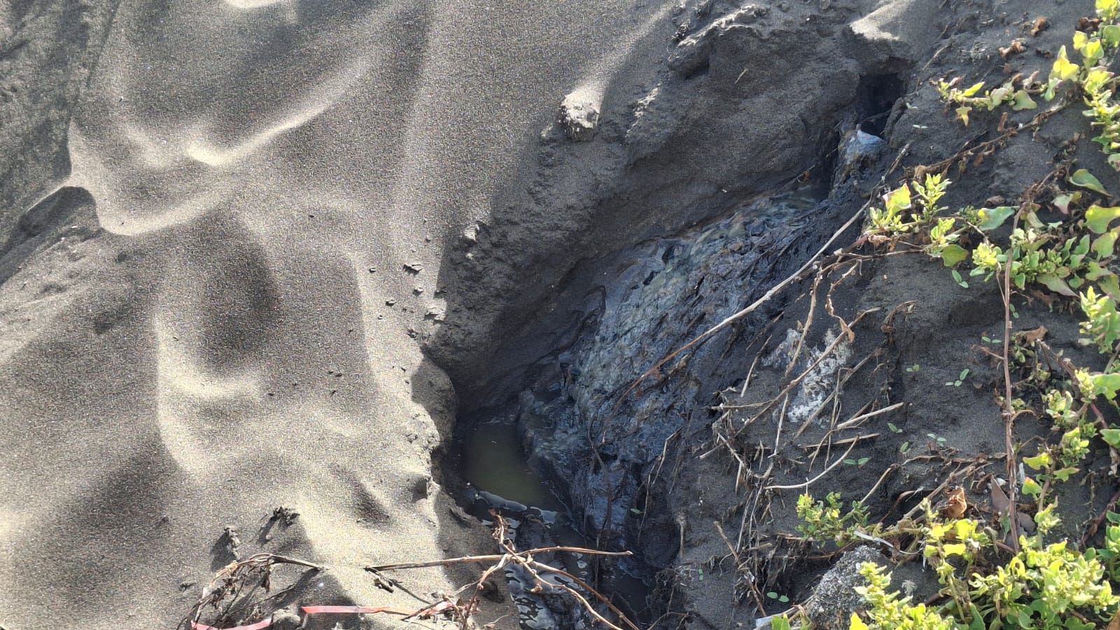 Vertido de aguas pestilentes en Playa del Hombre