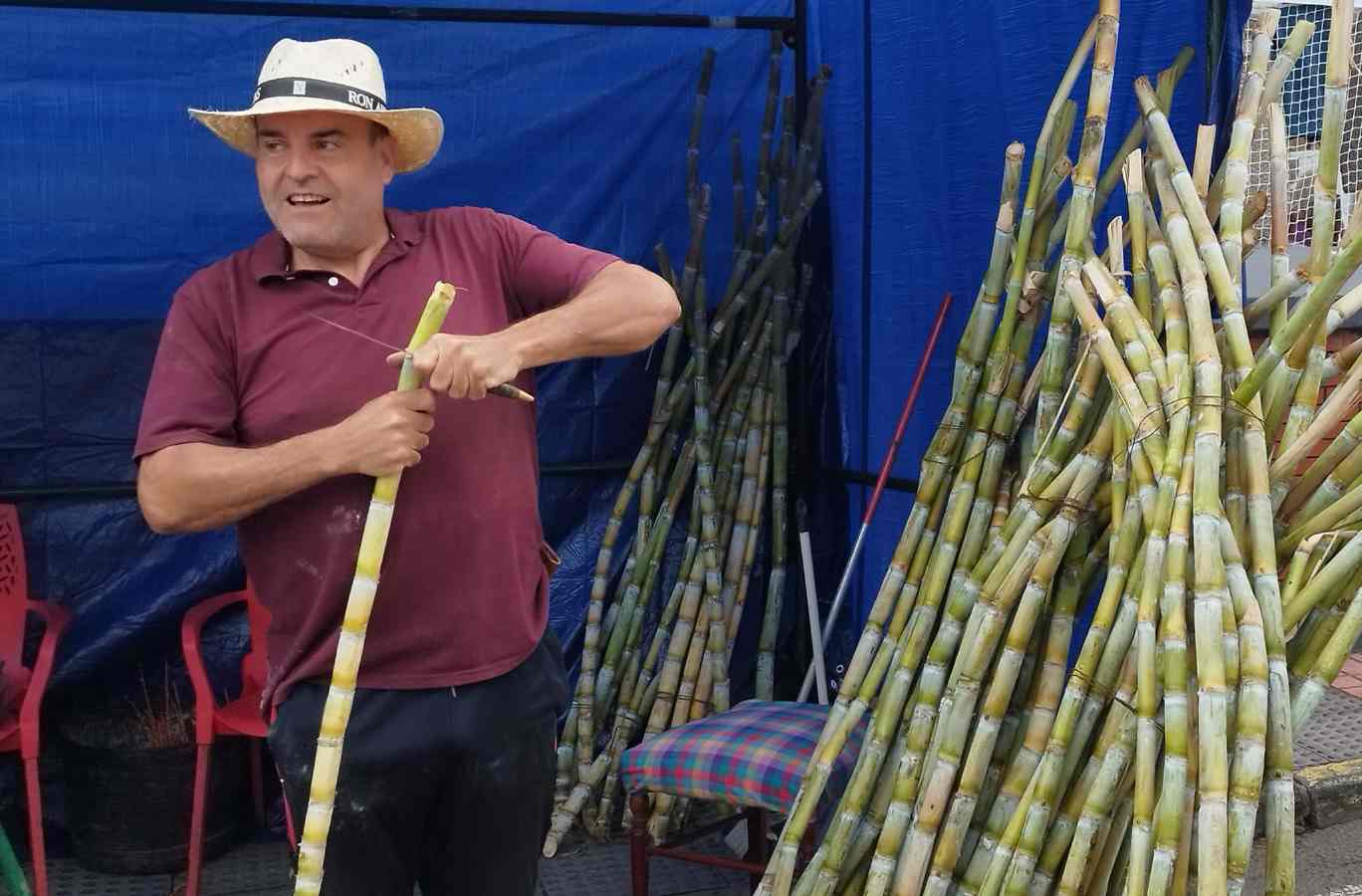 El colectivo Montaña Rajada celebra la declaración turística de las fiestas de Jinámar