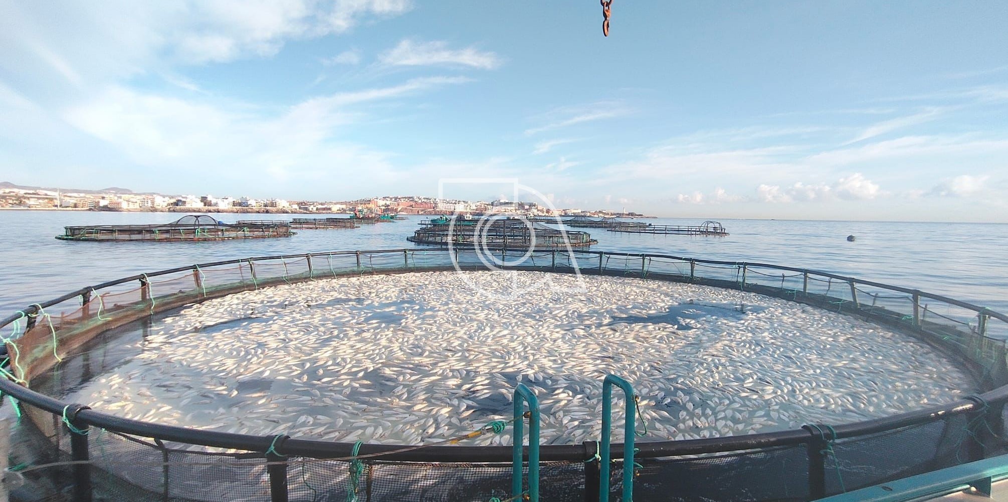 La Plataforma por un Mar Limpio pide a la Fiscal&iacute;a que act&uacute;e ante la inacci&oacute;n de Pesca con Aquanaria