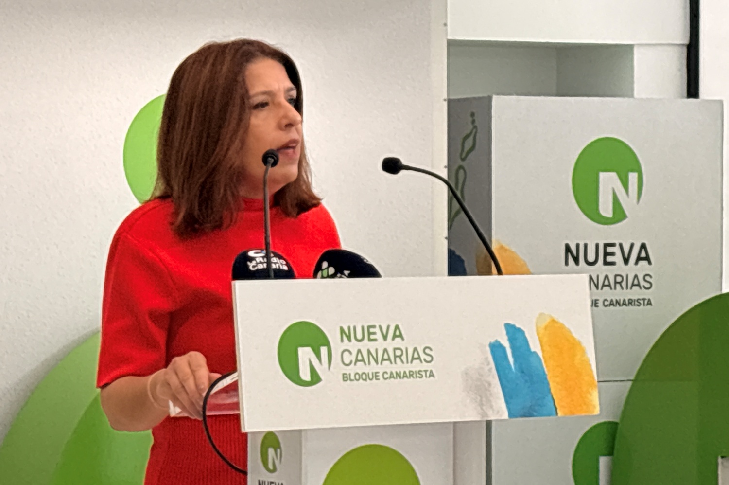 Carmen Hern&aacute;ndez, diputada de Nueva Canarias-Bloque Canarista en el Parlamento de Canarias (Foto cedida)