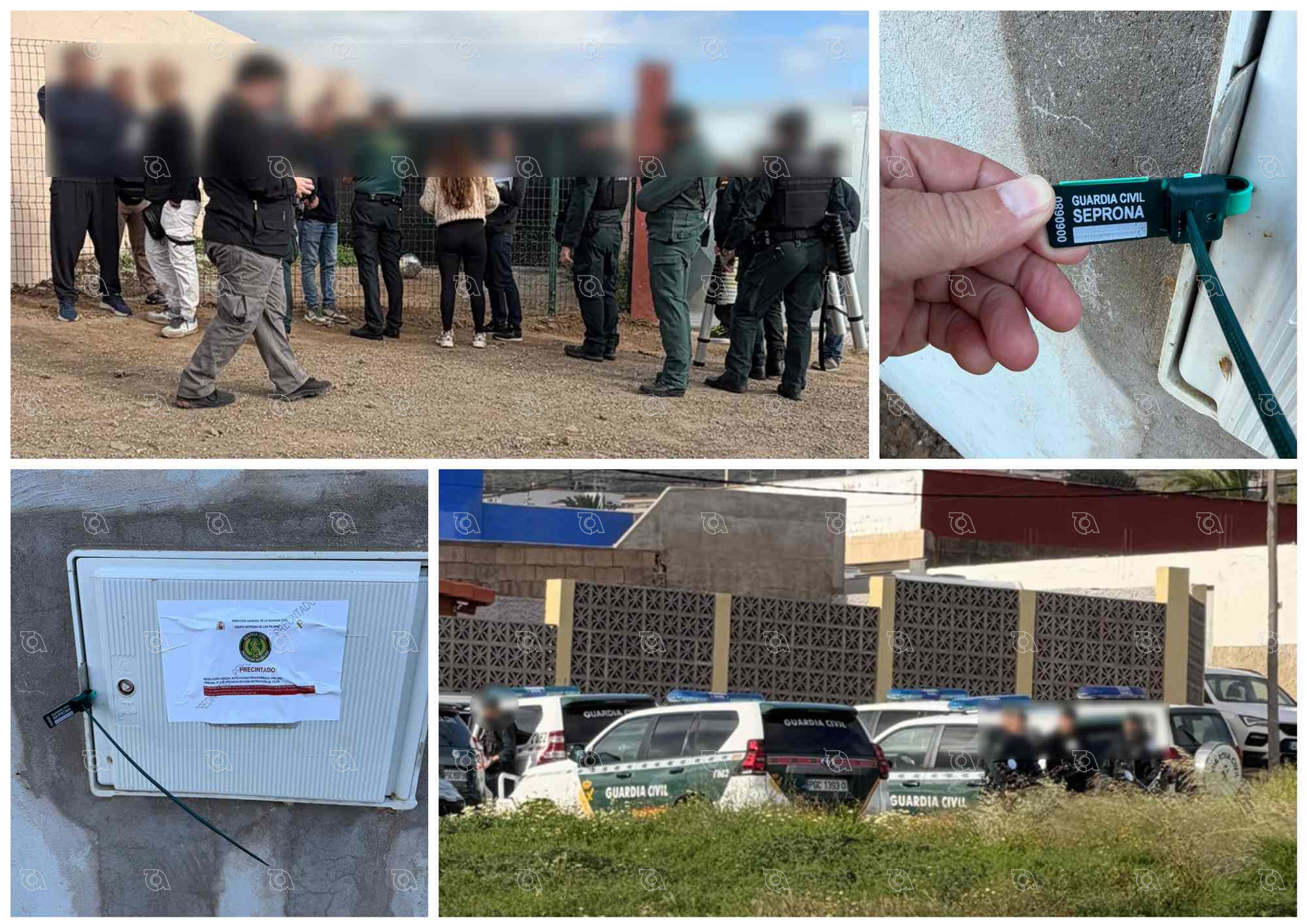 Precintan obras y cortan el suministro de agua a dos parcelaciones ilegales de Telde