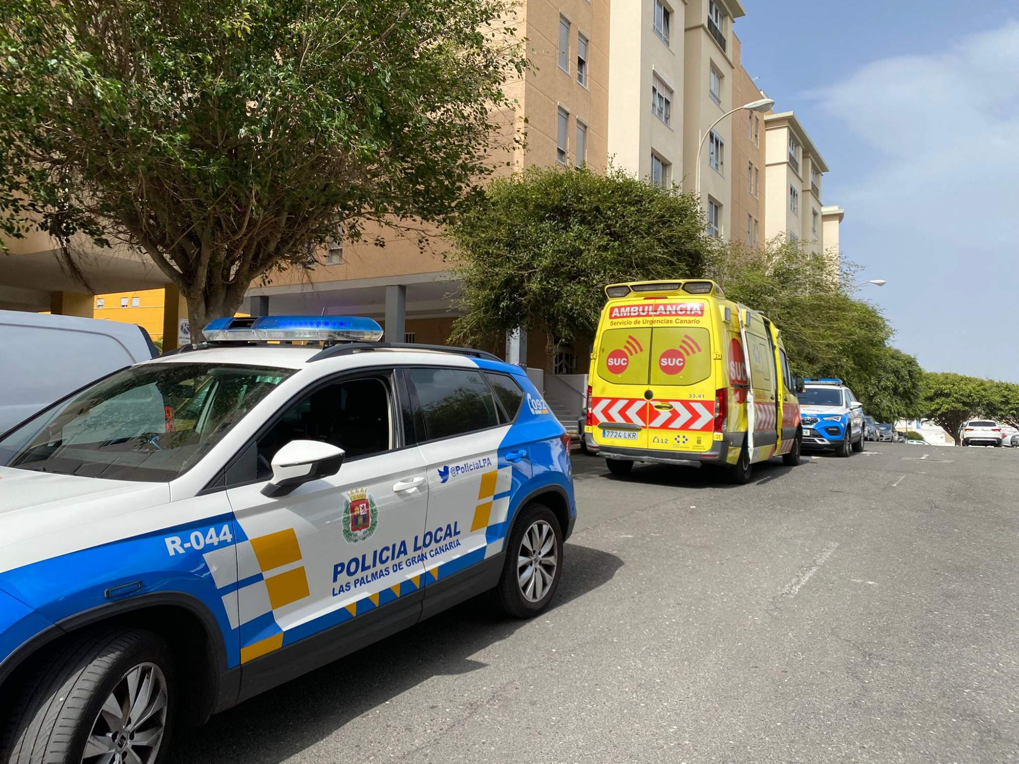 Imagen de una intervenci&oacute;n de la Polic&iacute;a Local de LPGC/PLLPGC.