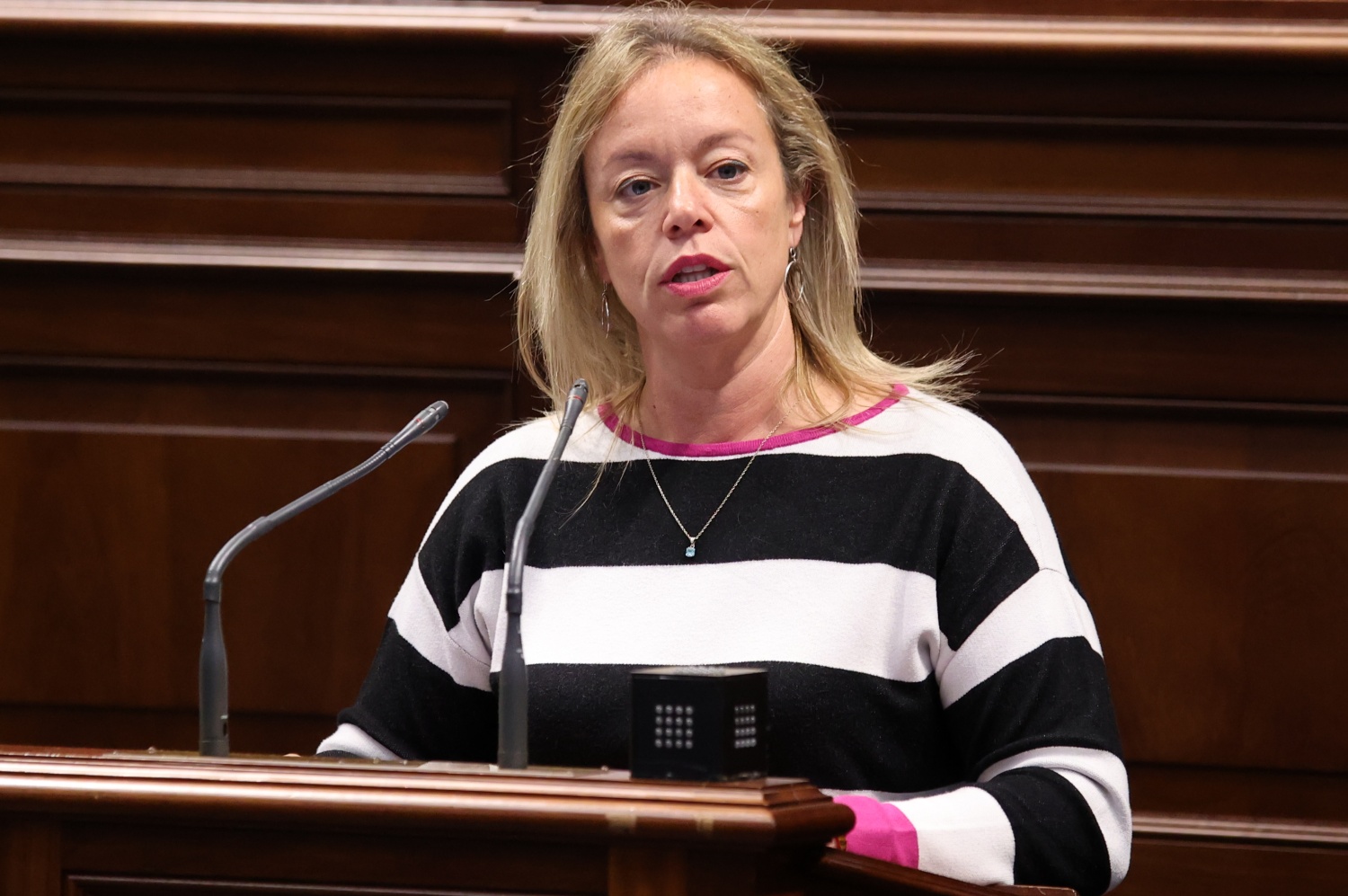 La teldense Sonsoles Mart&iacute;n, del Partido Popular (Foto: GP Popular)