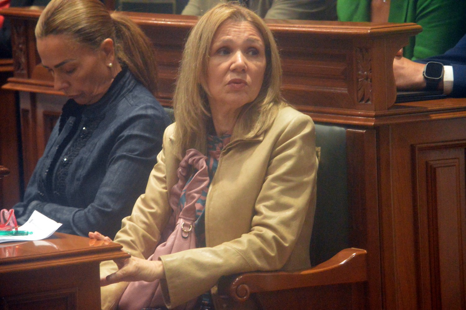 Las concejalas Adela &Aacute;lvarez y Maria Eugenia Meli&aacute;n, en el Pleno del pasado martes/TA.