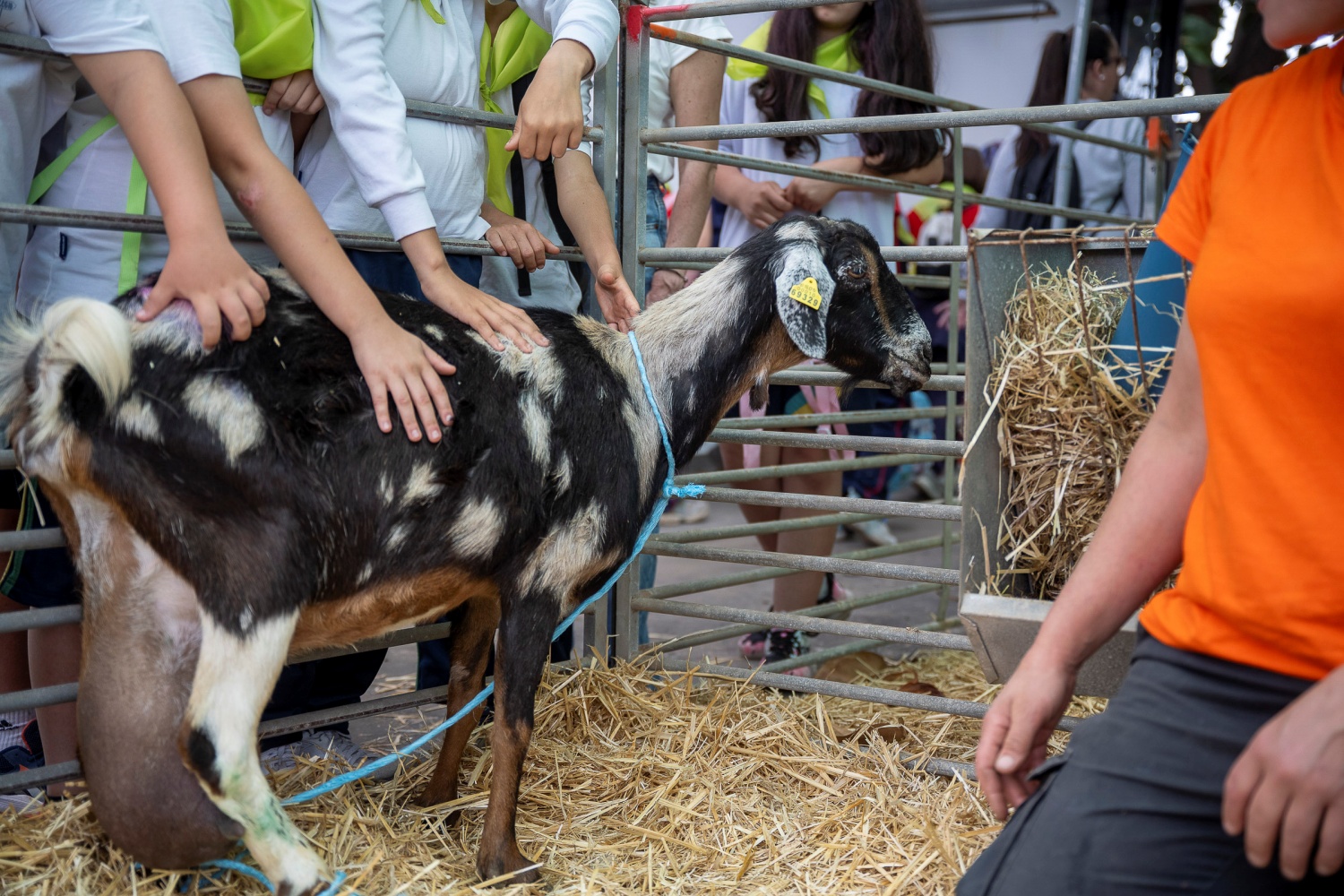 Feria Escolar del Sector Primario (Foto: David Delfour - Cabildo de Gran Canaria)