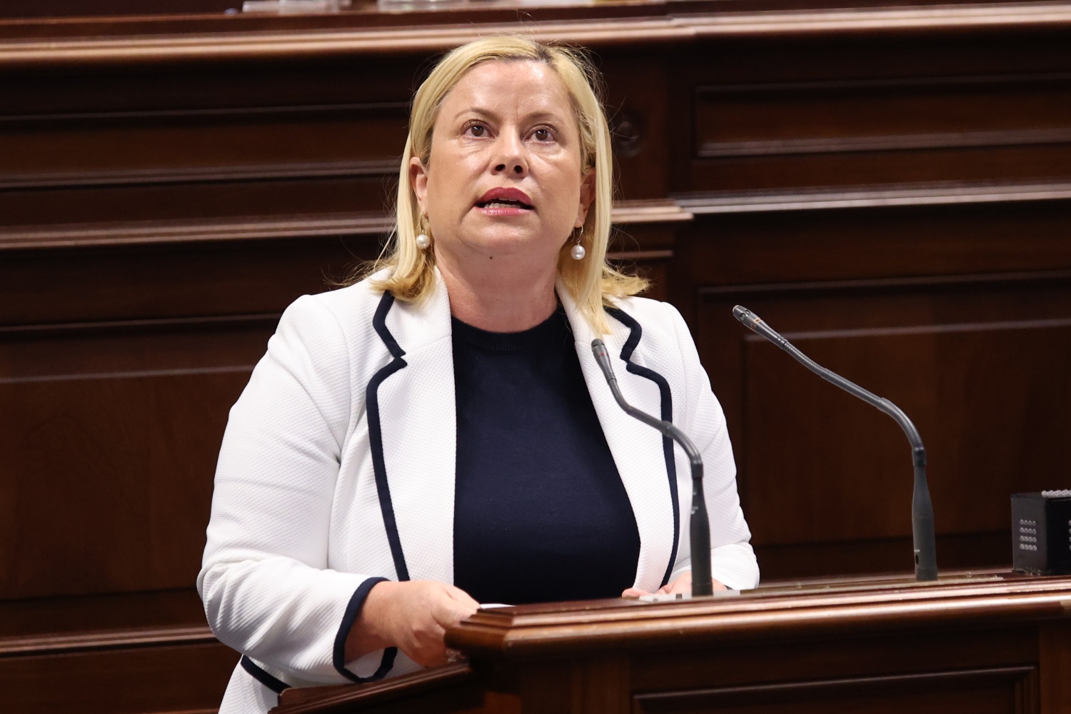 La teldense M&oacute;nica Mu&ntilde;oz, diputada del Partido Popular en el Parlamento de Canarias (Foto: PP Canarias)
