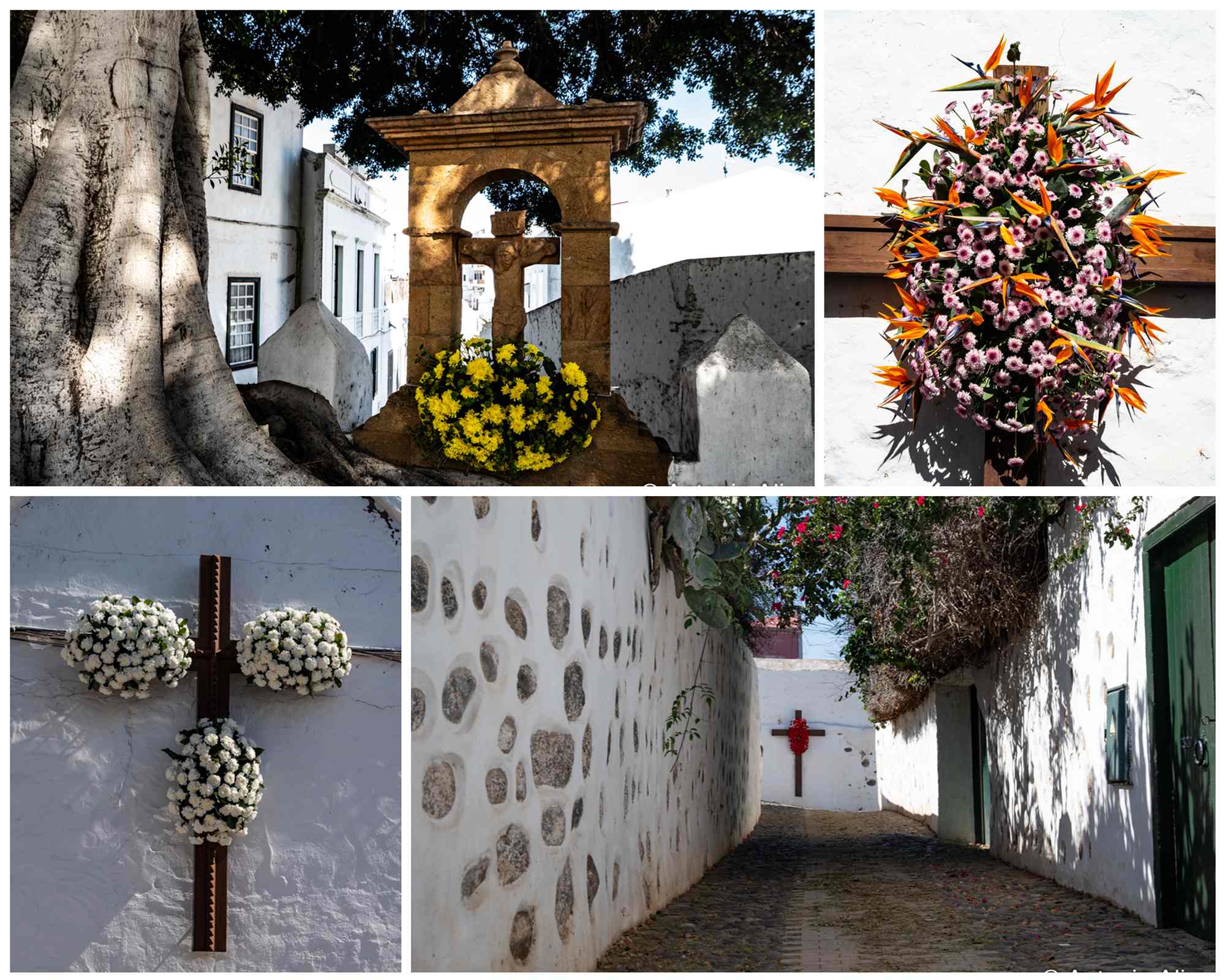 El Vía Crucis floral recorre cuatro siglos de historia en San Francisco (Telde)