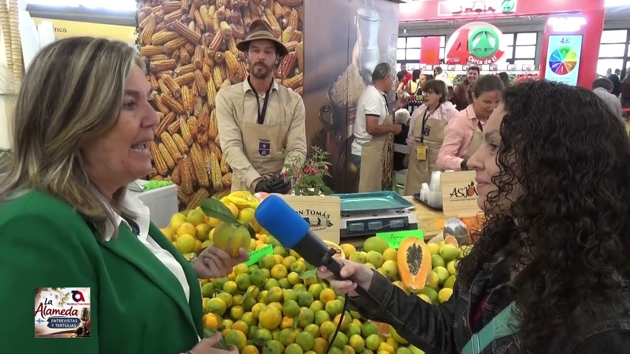 La Alameda resume en vídeo la apertura de Gran Canaria Me Gusta