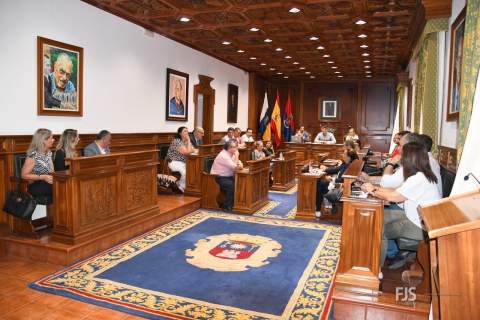 Imagen del Pleno reunido este miércoles