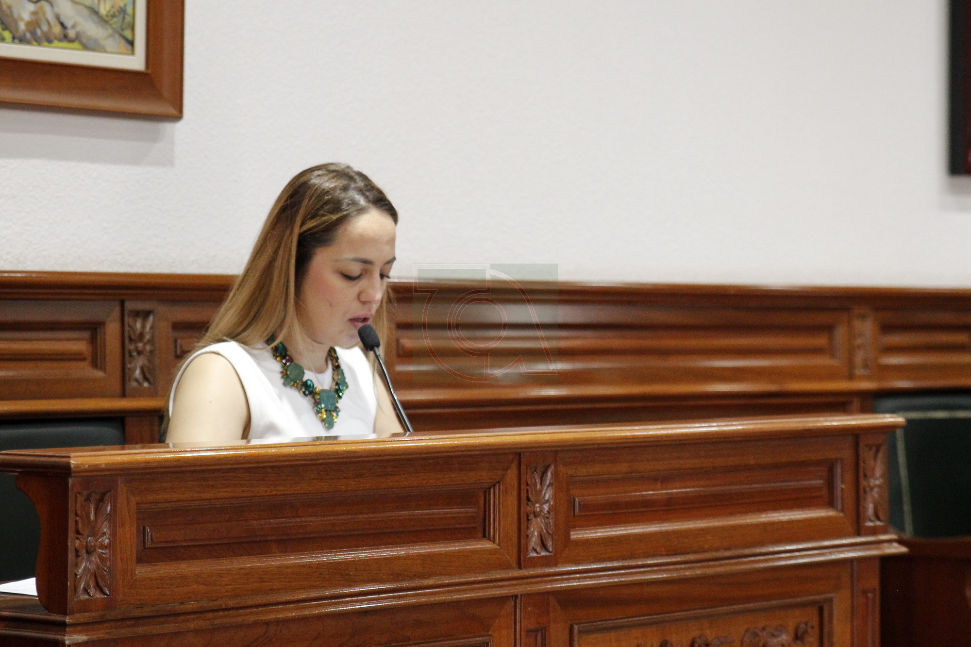 Esmeralda Cabrera, concejala de Vox, en el Pleno de este pasado viernes/Iris Morales/TA.