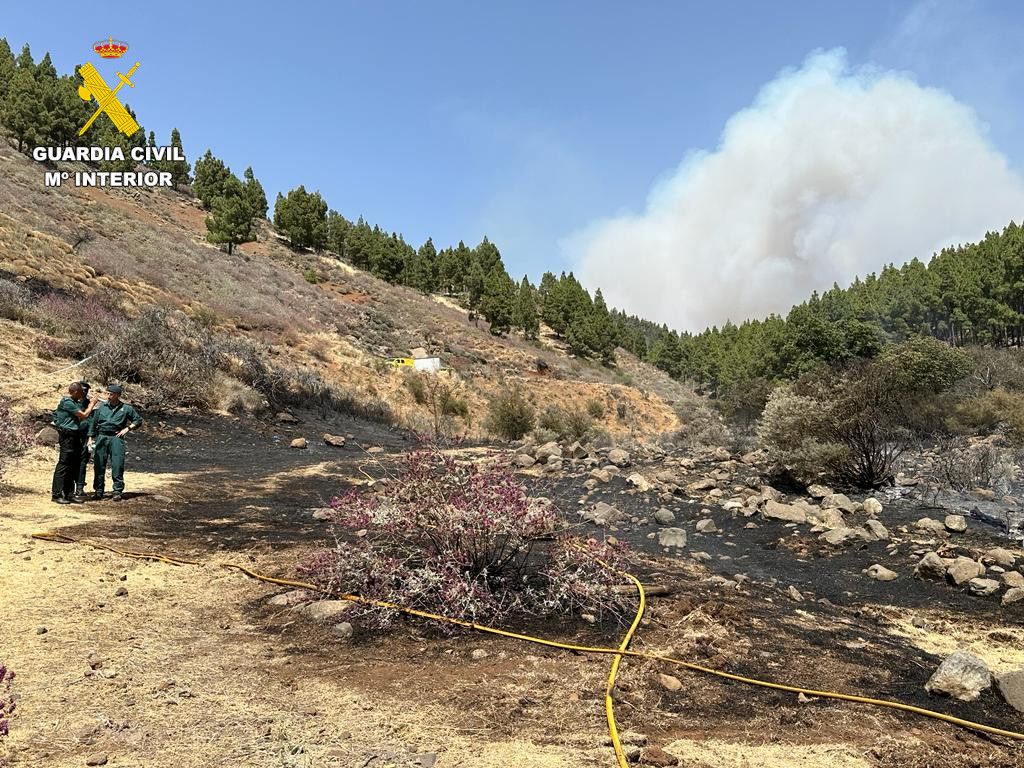 Imagen de archivo de las consecuencias de un incendio forestal (Foto: Guardia Civil)
