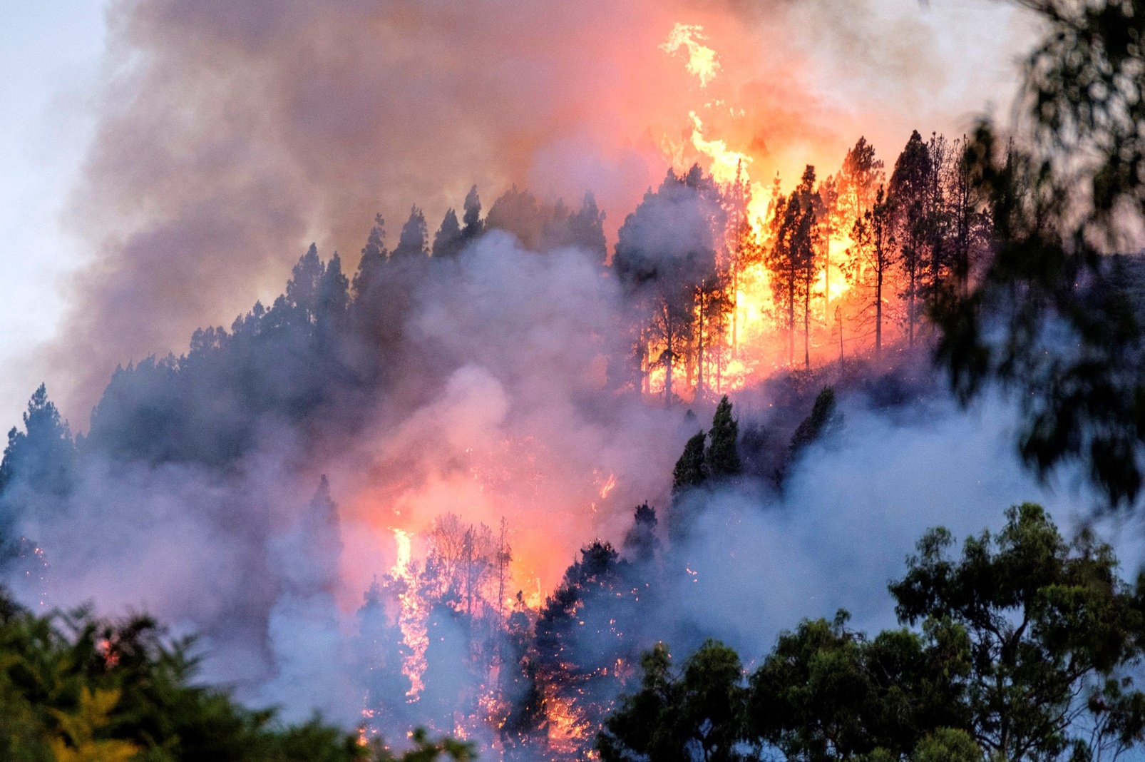 Imagen de archivo de un incendio forestal en Gran Canaria (Foto: RTVE)