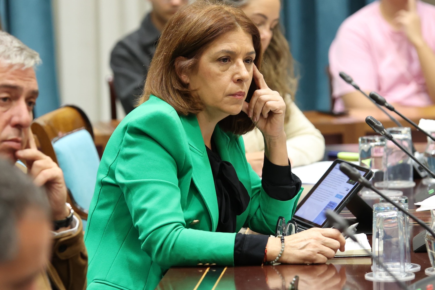 Carmen Hern&aacute;ndez, diputada teldense de Nueva Canarias-Bloque Canarista (Foto: NC-BC)