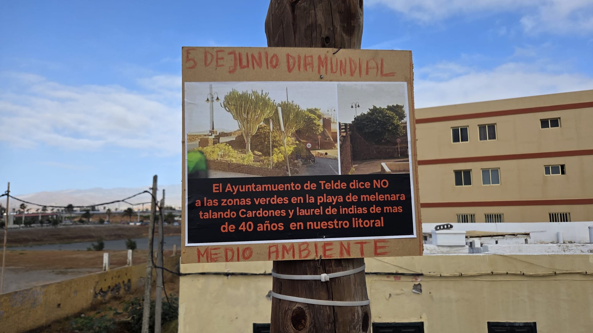NC eleva la presi&oacute;n sobre Parques y Jardines por lo "injustificado" de las talas salvajes