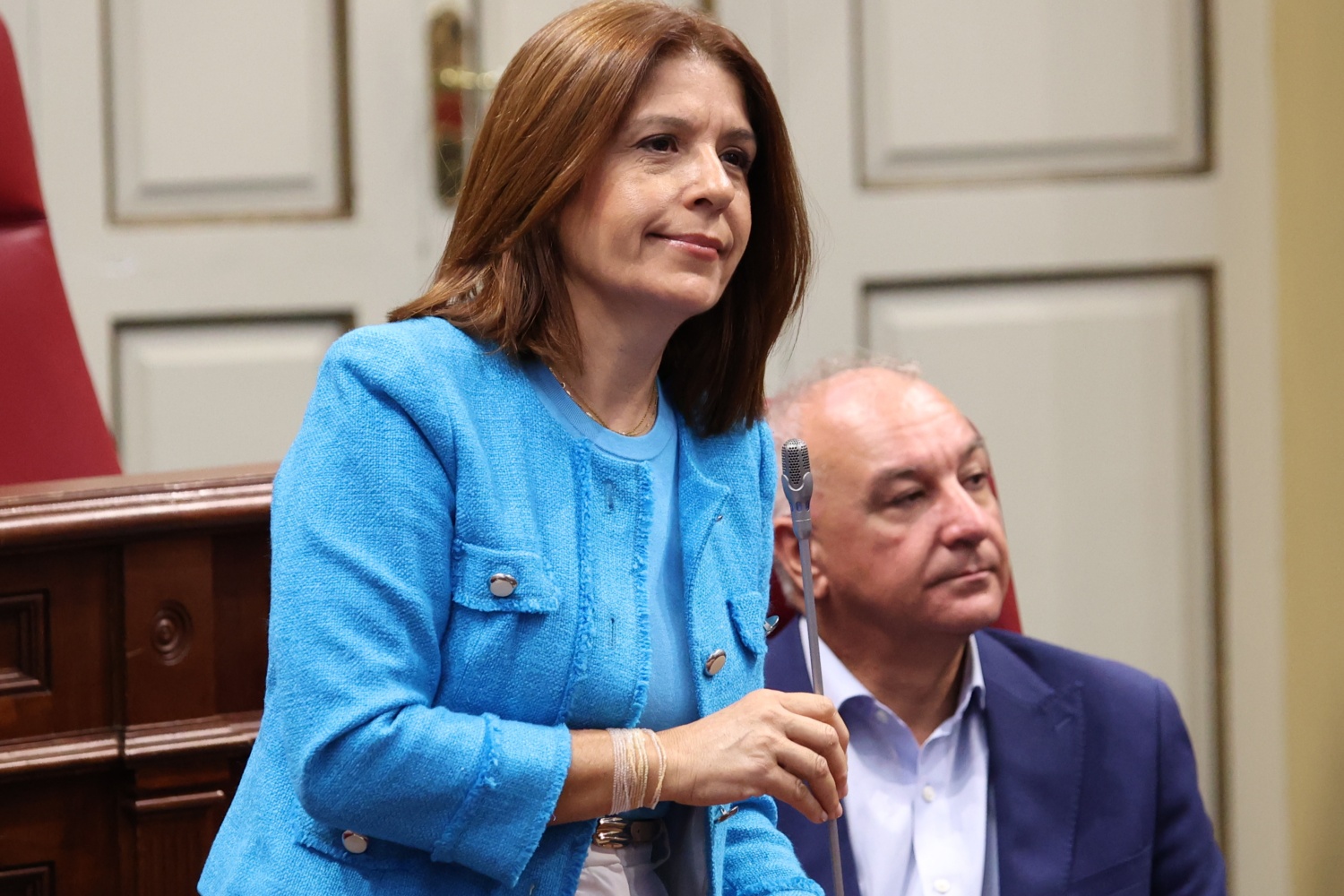 Carmen Rosa Hern&aacute;ndez, diputada teldense en Nueva Canarias (Foto: NC-BC)