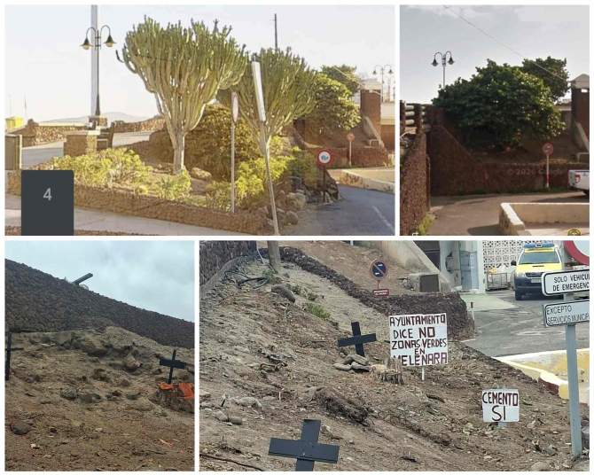 Destrucci&oacute;n de especies vegetales en Melenara/TA.