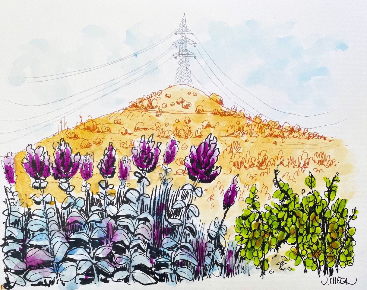 Ilustración de la Montaña del Plato/Jaime Checa Gimeno