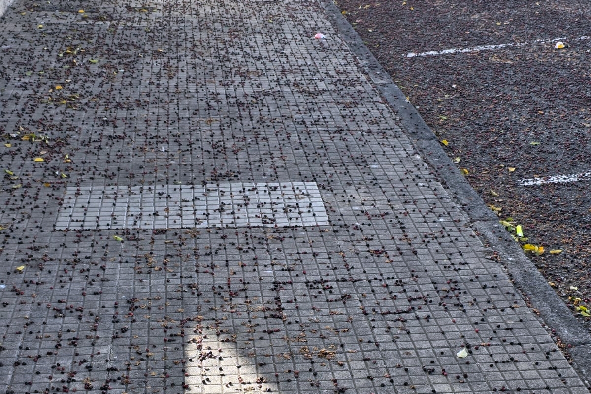 Ejemplo del estado de la acera en la calle de Jin&aacute;mar (Foto cedida)