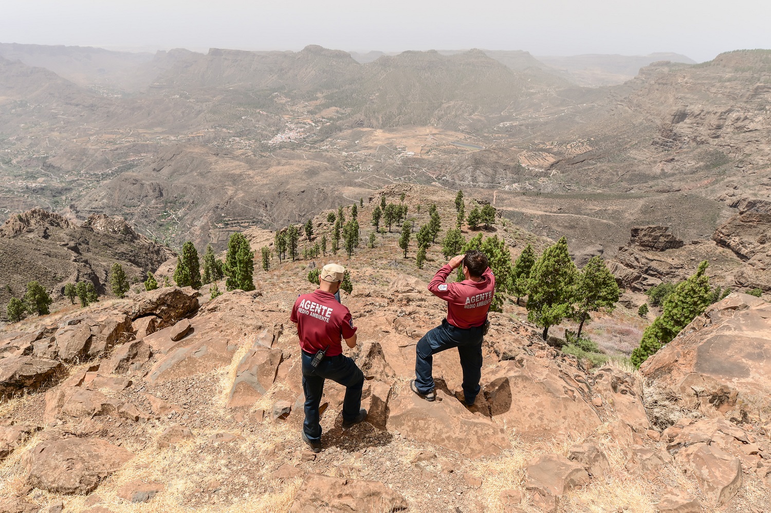 Gran Canaria entra en alerta por riesgo de incendios