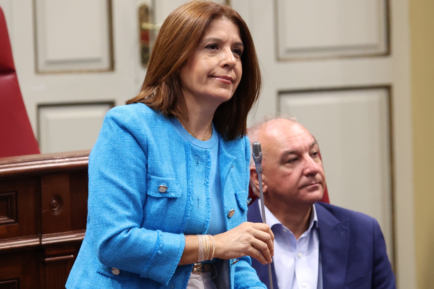 Carmen Rosa Hern&aacute;ndez, diputada teldense de NC-BC en el Parlamento de Canarias (Foto cedida)