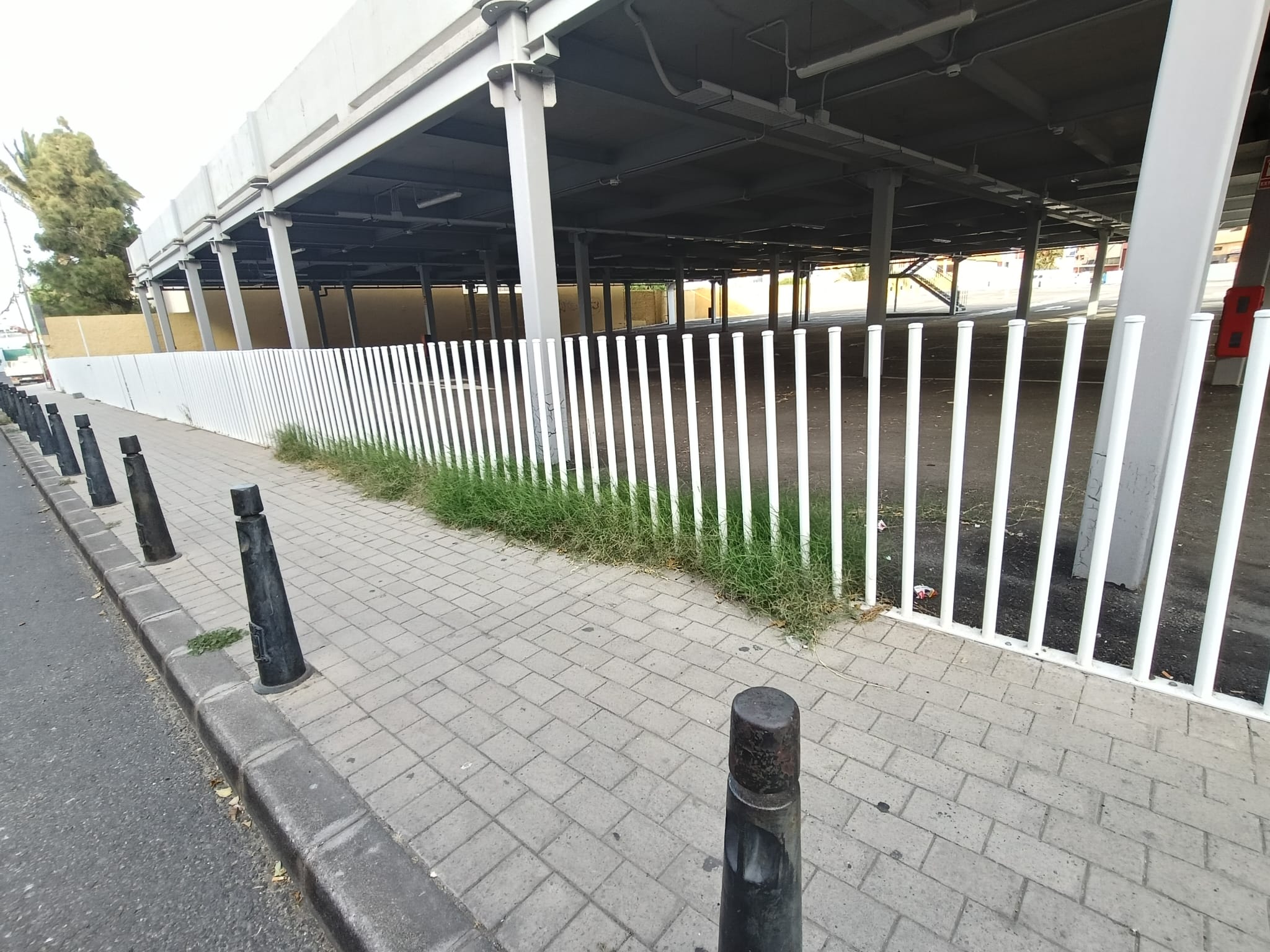 Foto: Manuel Rodríguez