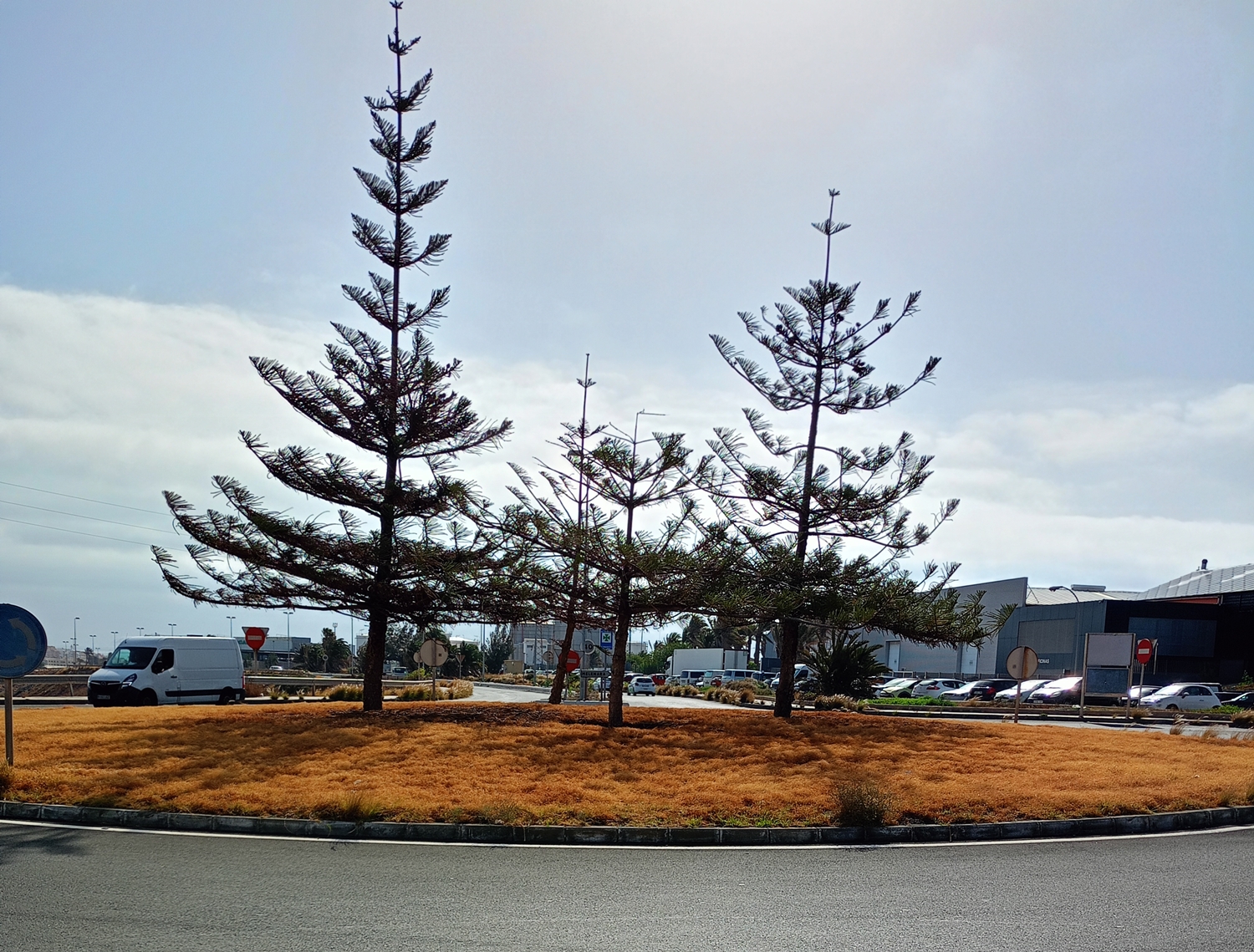 Imagen cedida de la glorieta de acceso a Salinetas