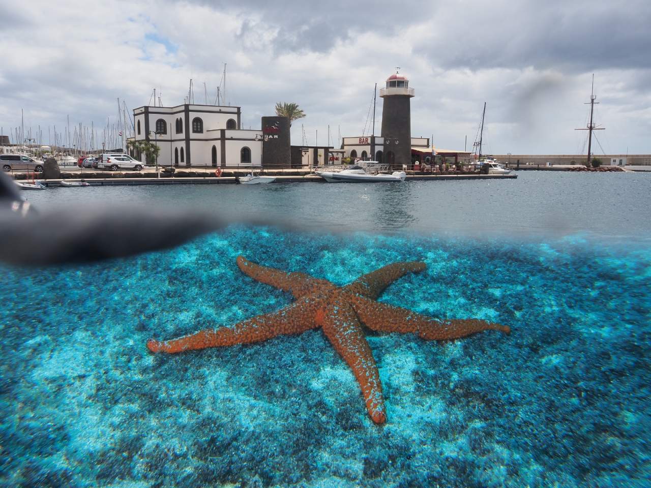 Foto Ernesto Collado