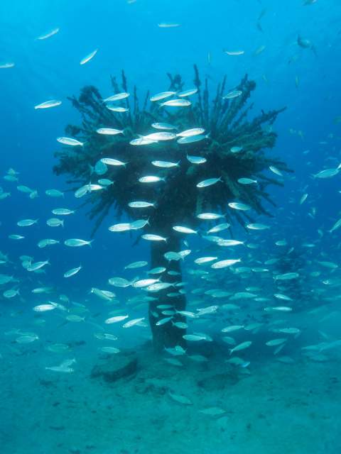 Foto Ernesto Collado