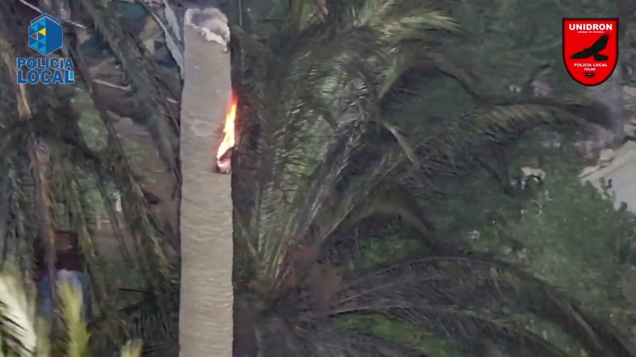 Los drones de la Policía Local de Telde, ojos desde el cielo contra el incendio de Santa Lucía